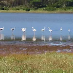 Obidos Lagoon Refuge Vila Foz do Arelho