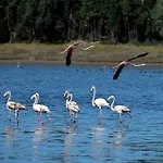 Obidos Lagoon Refuge
