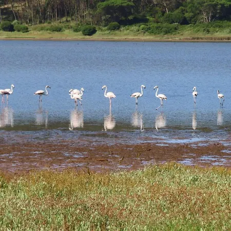 Obidos Lagoon Refuge Villa Foz do Arelho