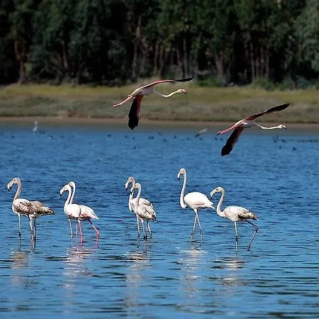 óbidos Lagoon Refuge