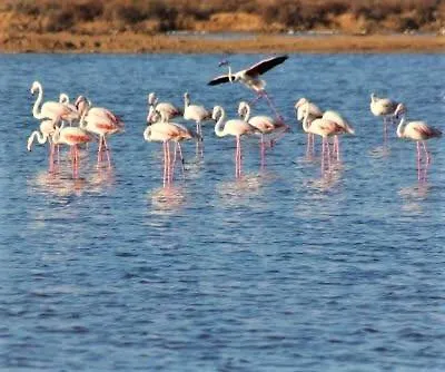 Villa óbidos Lagoon Refuge