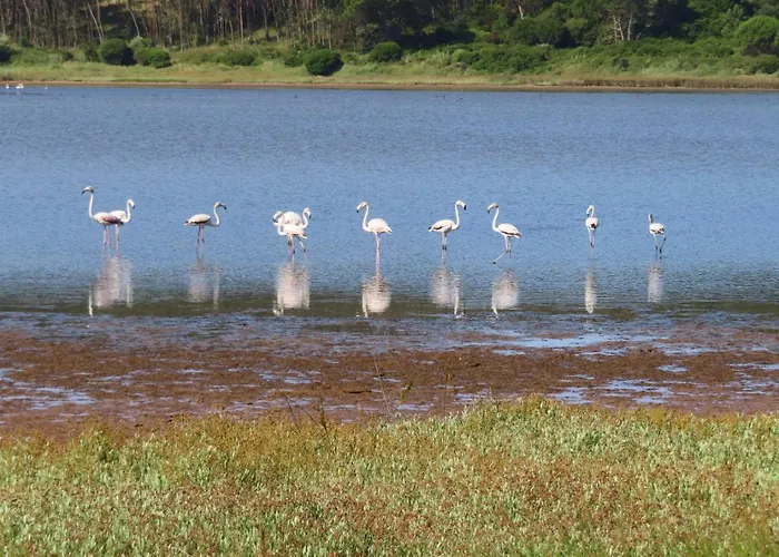 Obidos Lagoon Refuge 别墅 福斯·杜·阿勒奥