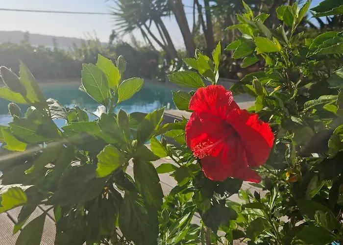 Villa BeGuest Lagoon Refuge *